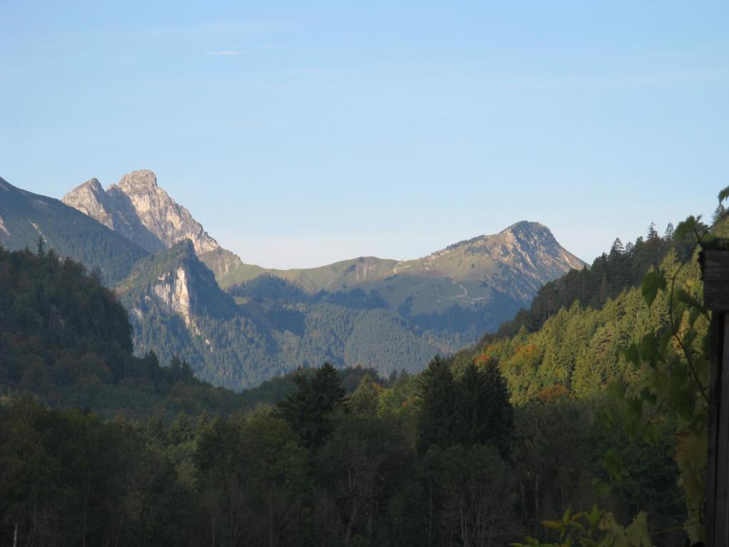 Alpenhotel Allgaeu هوهنسشوانغو المظهر الخارجي الصورة
